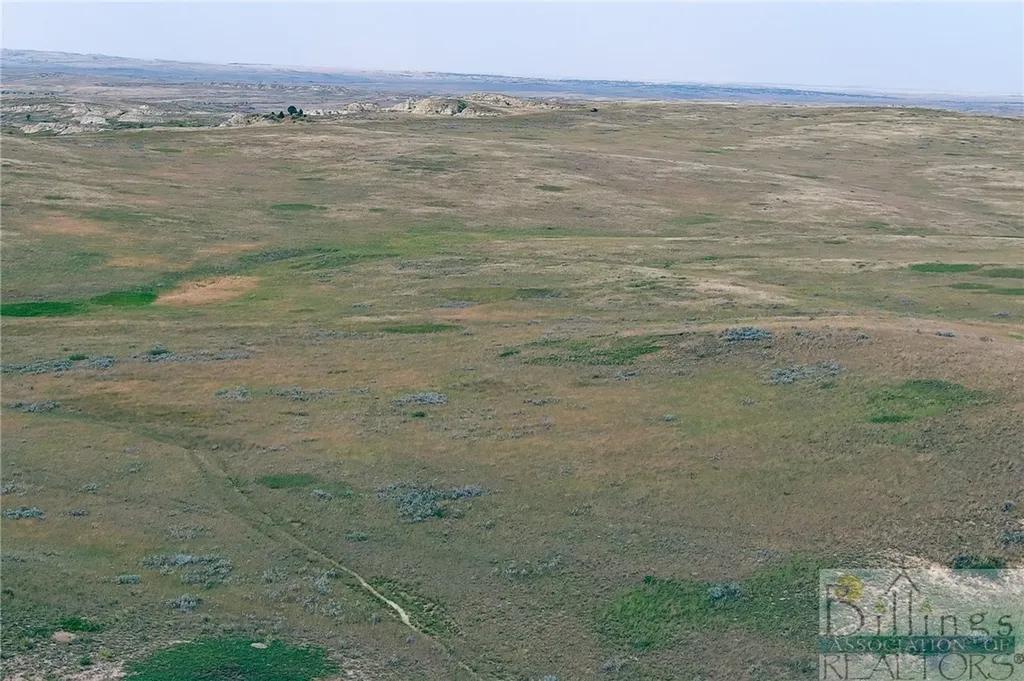 "5736 +/- Acres" Nhn Straub Access Road Plevna, Mount Road Other MT 59344