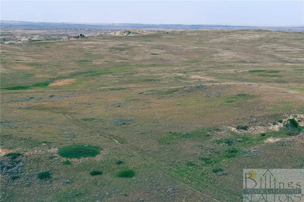 "5736 +/- Acres" Nhn Straub Access Road Plevna, Mount Road Other MT 59344