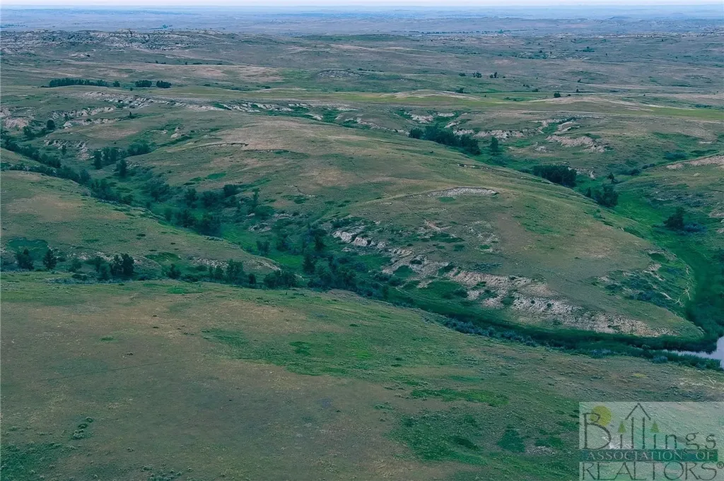 "5736 +/- Acres" Nhn Straub Access Road Plevna, Mount Road Other MT 59344
