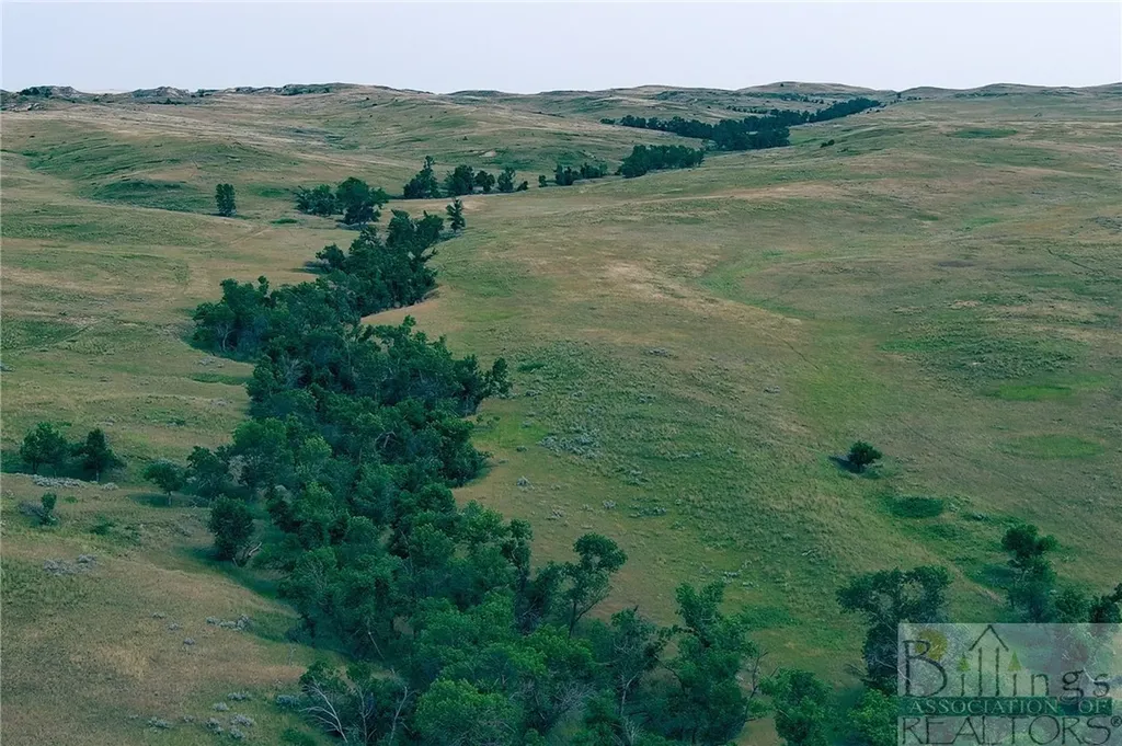 "5736 +/- Acres" Nhn Straub Access Road Plevna, Mount Road Other MT 59344