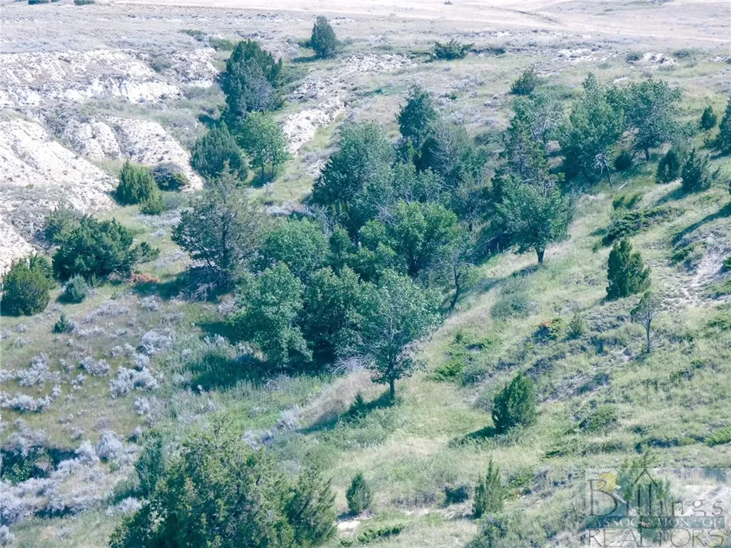 "5736 +/- Acres" Nhn Straub Access Road Plevna, Mount Road Other MT 59344