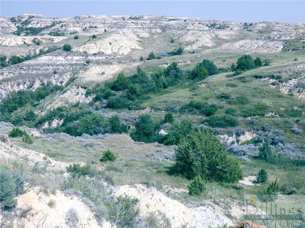 "5736 +/- Acres" Nhn Straub Access Road Plevna, Mount Road Other MT 59344