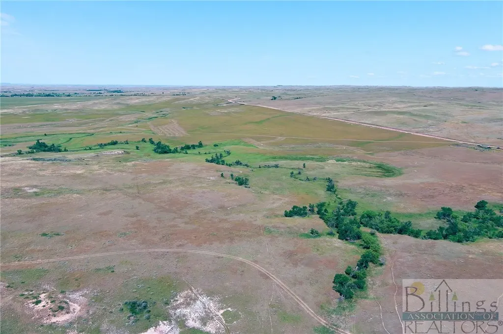 "5736 +/- Acres" Nhn Straub Access Road Plevna, Mount Road Other MT 59344