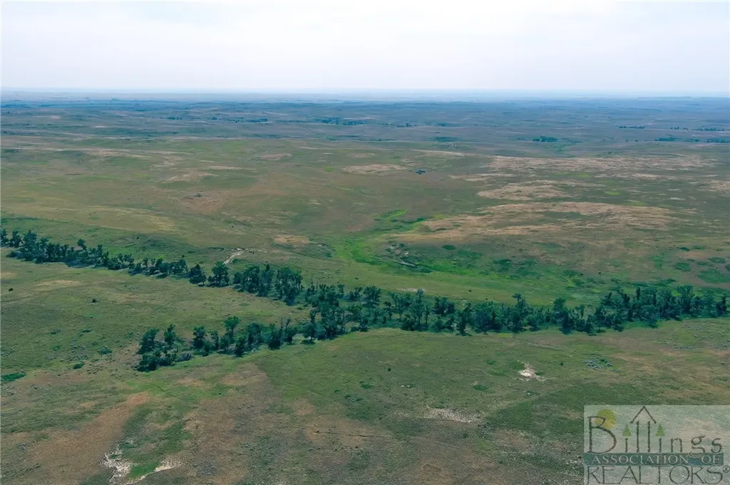 "5736 +/- Acres" Nhn Straub Access Road Plevna, Mount Road Other MT 59344