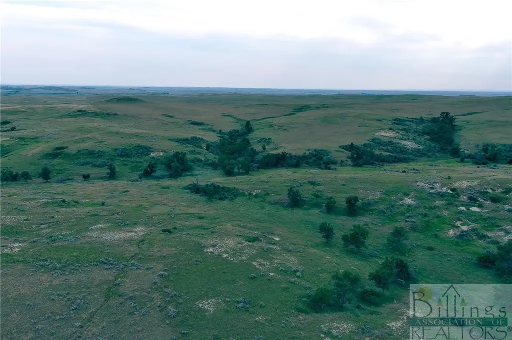 "5736 +/- Acres" Nhn Straub Access Road Plevna, Mount Road Other MT 59344