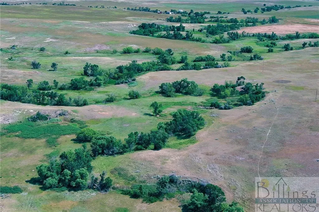 "5736 +/- Acres" Nhn Straub Access Road Plevna, Mount Road Other MT 59344