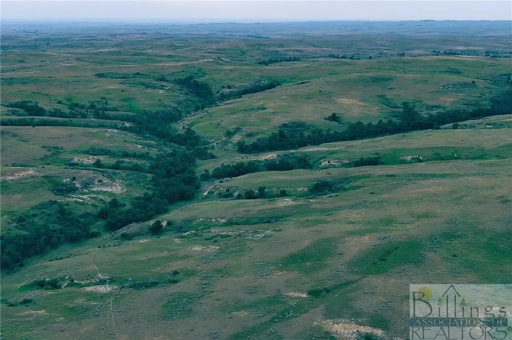 "5736 +/- Acres" Nhn Straub Access Road Plevna, Mount Road Other MT 59344