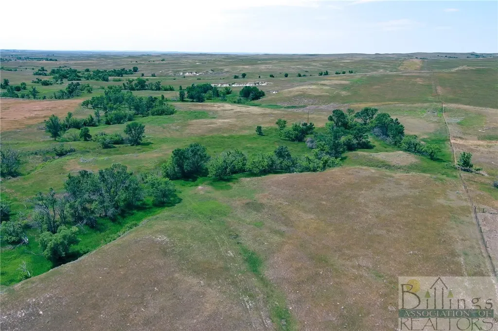 "5736 +/- Acres" Nhn Straub Access Road Plevna, Mount Road Other MT 59344