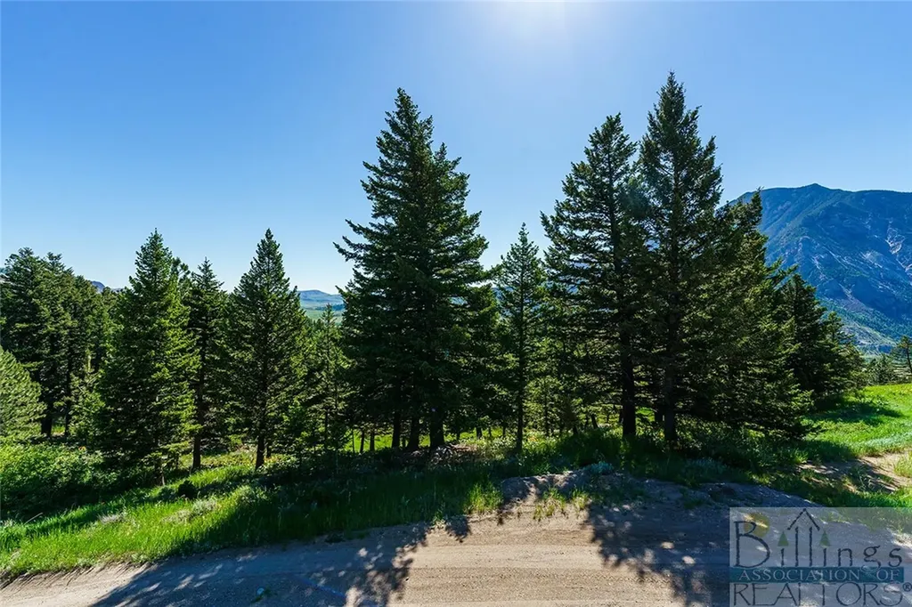 8 Forest Trail Nye MT 59061