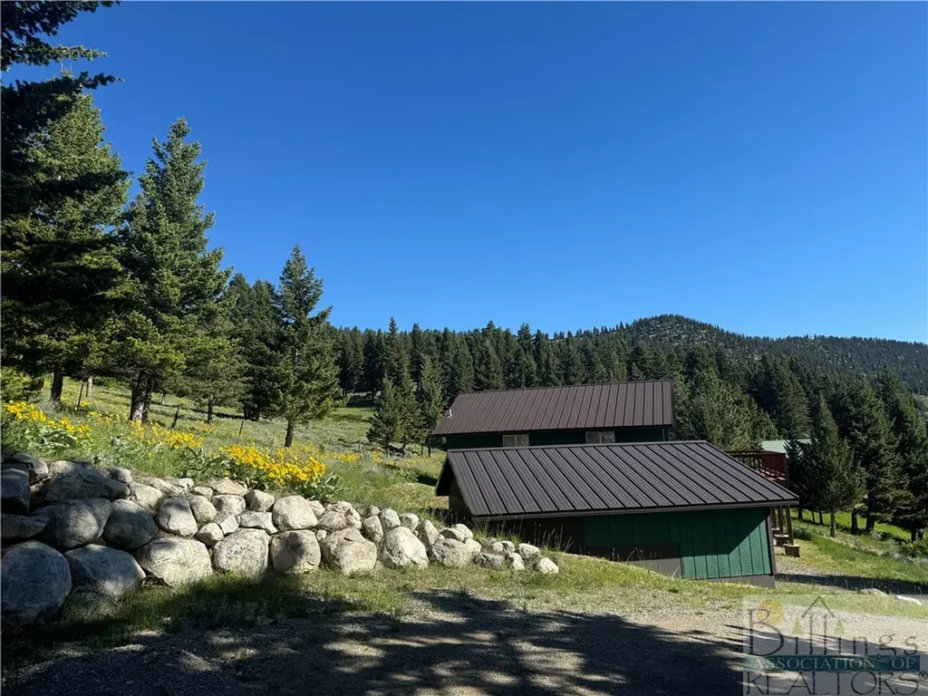 8 Forest Trail Nye MT 59061