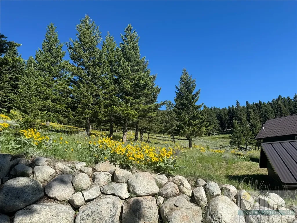 8 Forest Trail Nye MT 59061