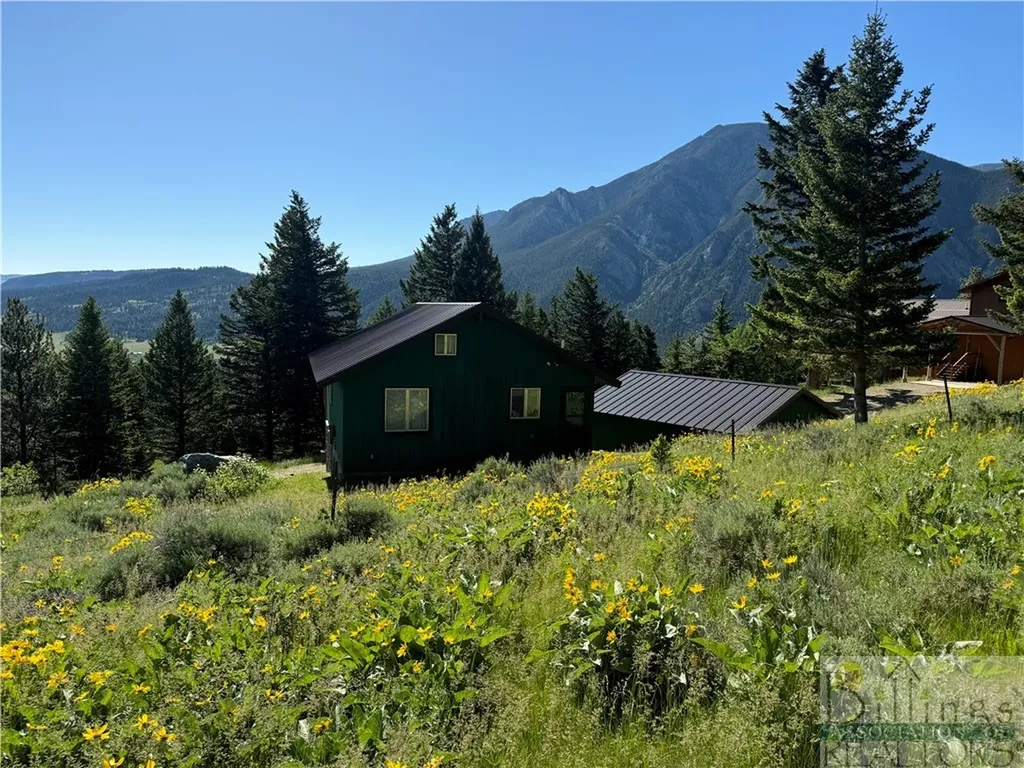 8 Forest Trail Nye MT 59061