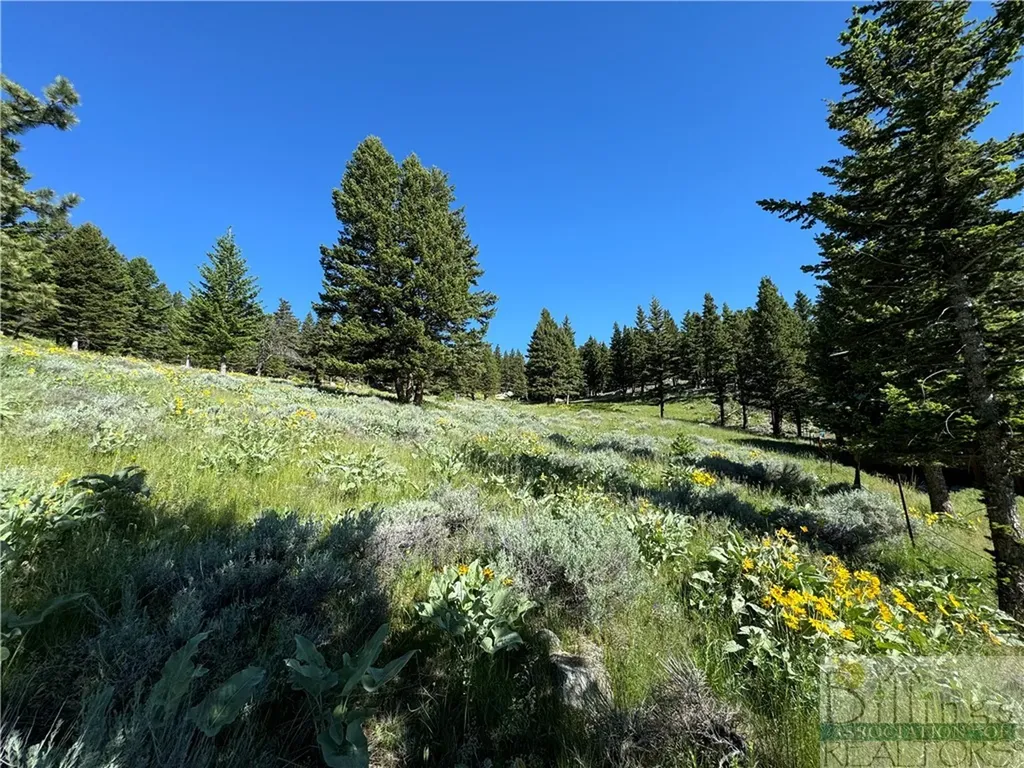 8 Forest Trail Nye MT 59061