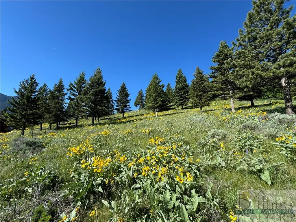 8 Forest Trail Nye MT 59061