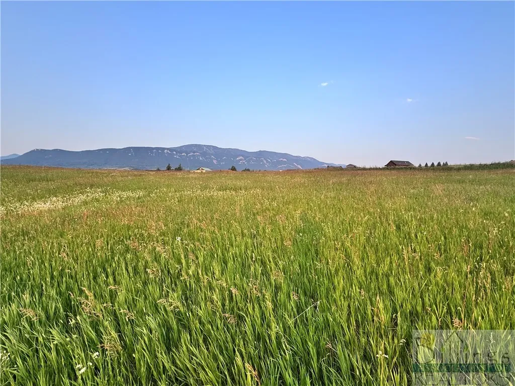 Lot 25 W Palisade Basin Red Lodge MT 59068