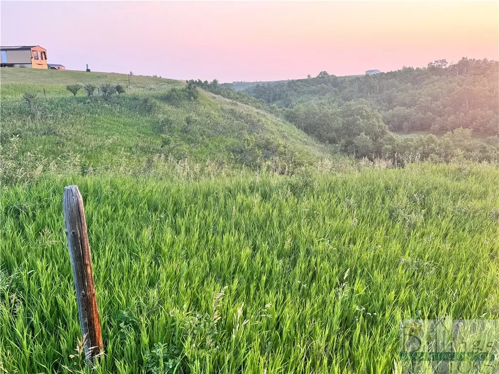Lot 25 W Palisade Basin Red Lodge MT 59068