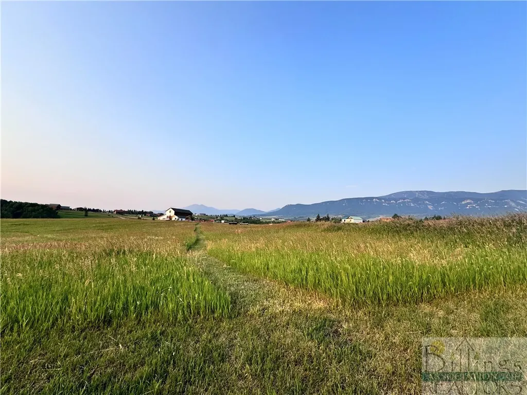 Lot 25 W Palisade Basin Red Lodge MT 59068