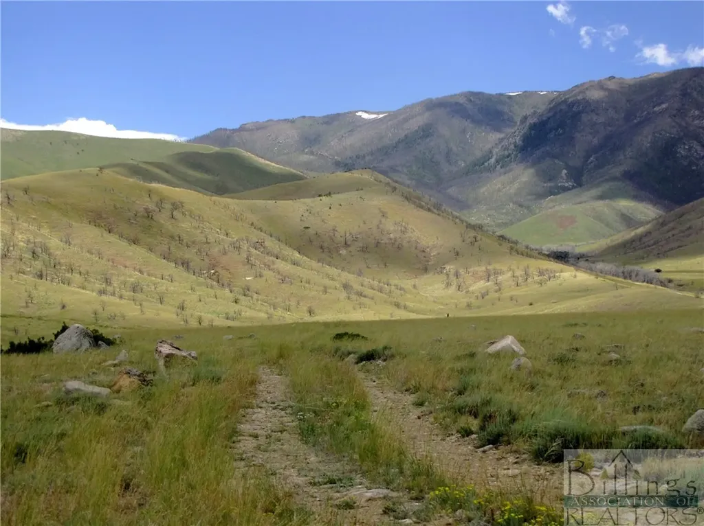 Nhn Ruby Creek Road Belfry MT 59008
