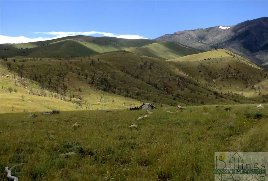 Nhn Ruby Creek Road Belfry MT 59008