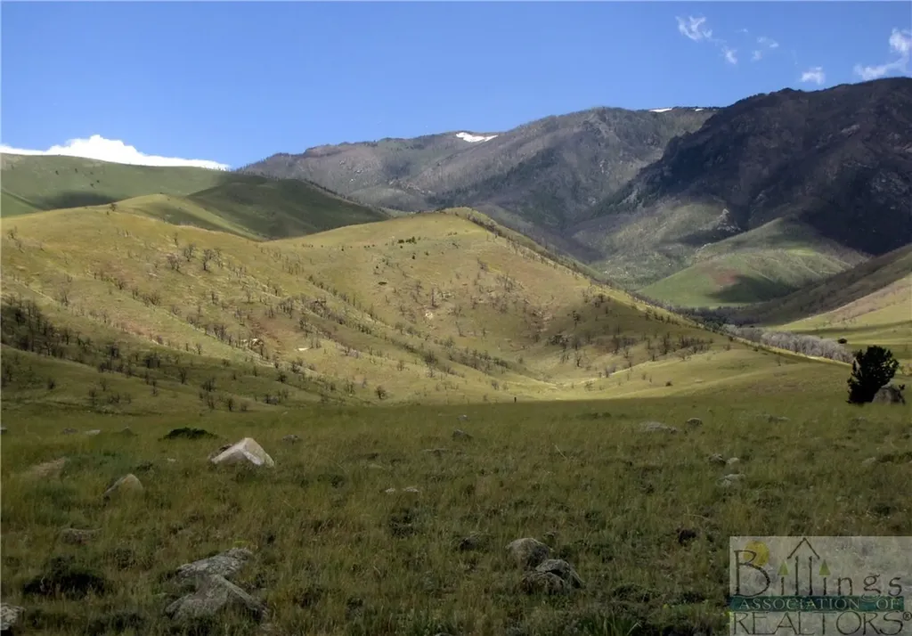 Nhn Ruby Creek Road Belfry MT 59008