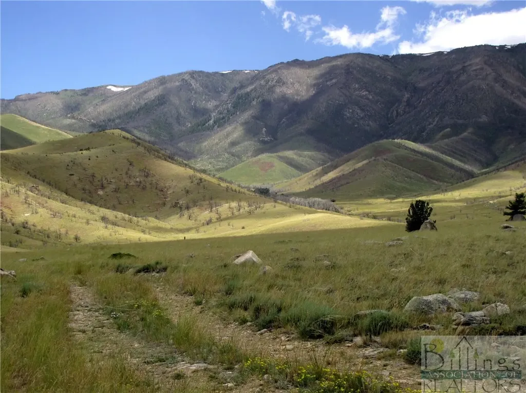 Nhn Ruby Creek Road Belfry MT 59008