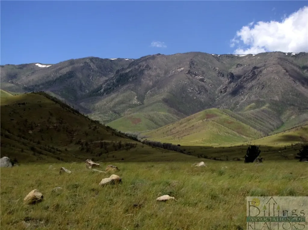 Nhn Ruby Creek Road Belfry MT 59008