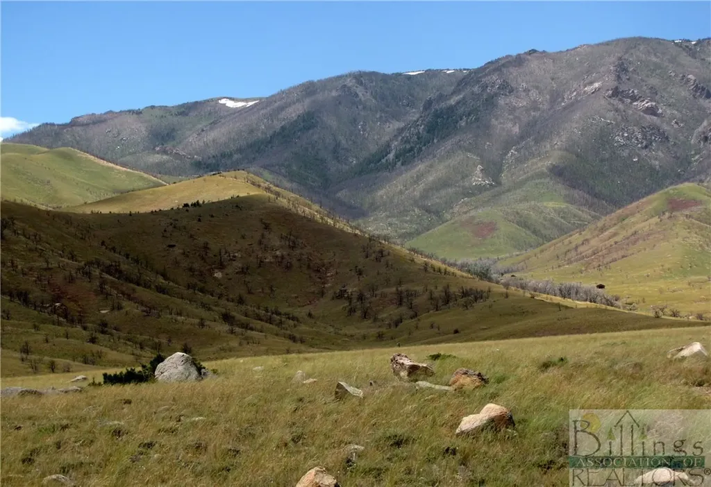 Nhn Ruby Creek Road Belfry MT 59008