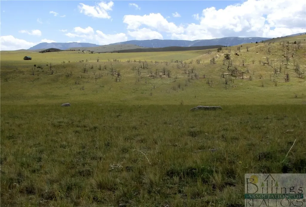 Nhn Ruby Creek Road Belfry MT 59008