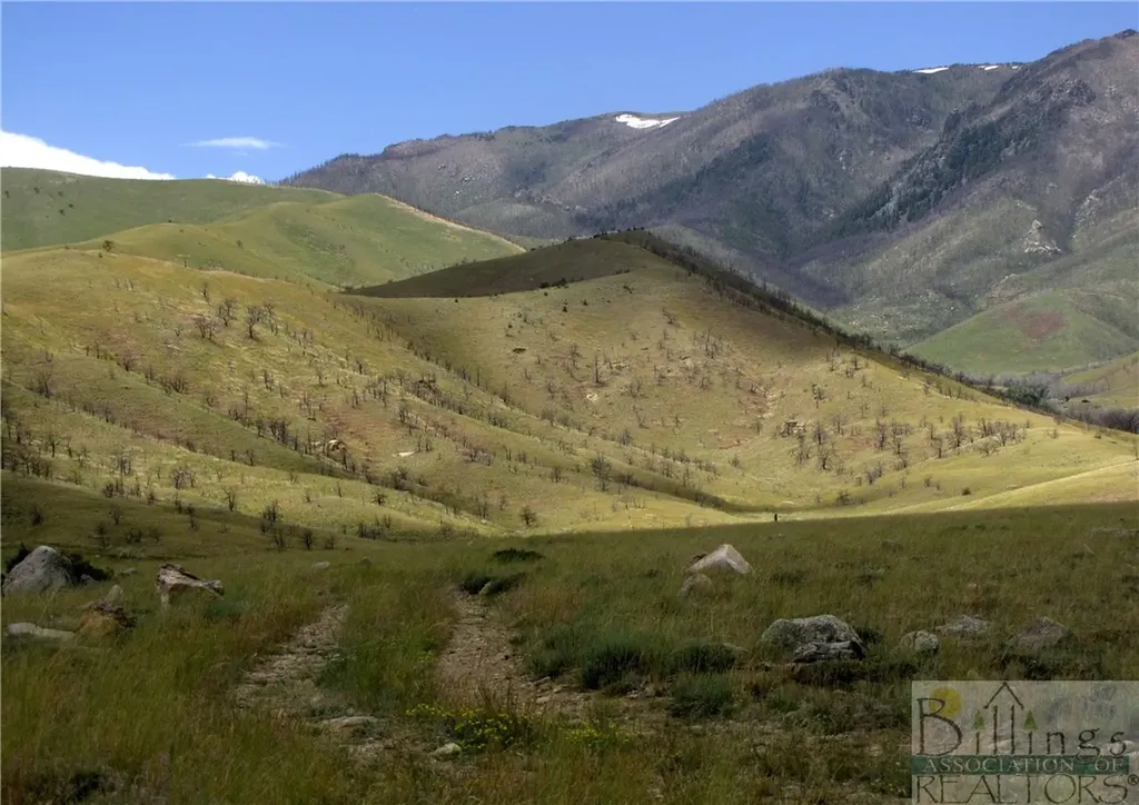 Nhn Ruby Creek Road Belfry MT 59008