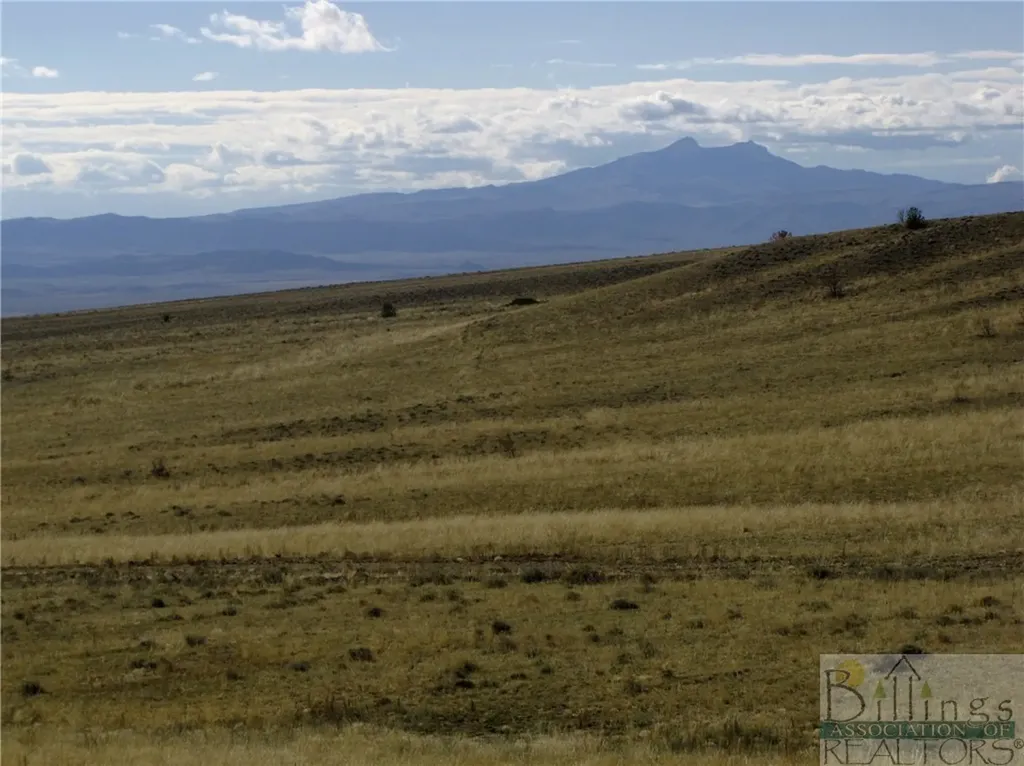 Nhn Ruby Creek Road Belfry MT 59008