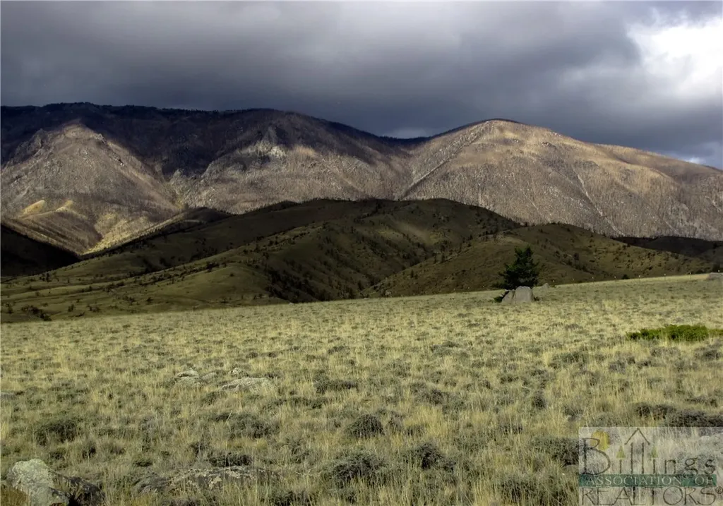Nhn Ruby Creek Road Belfry MT 59008