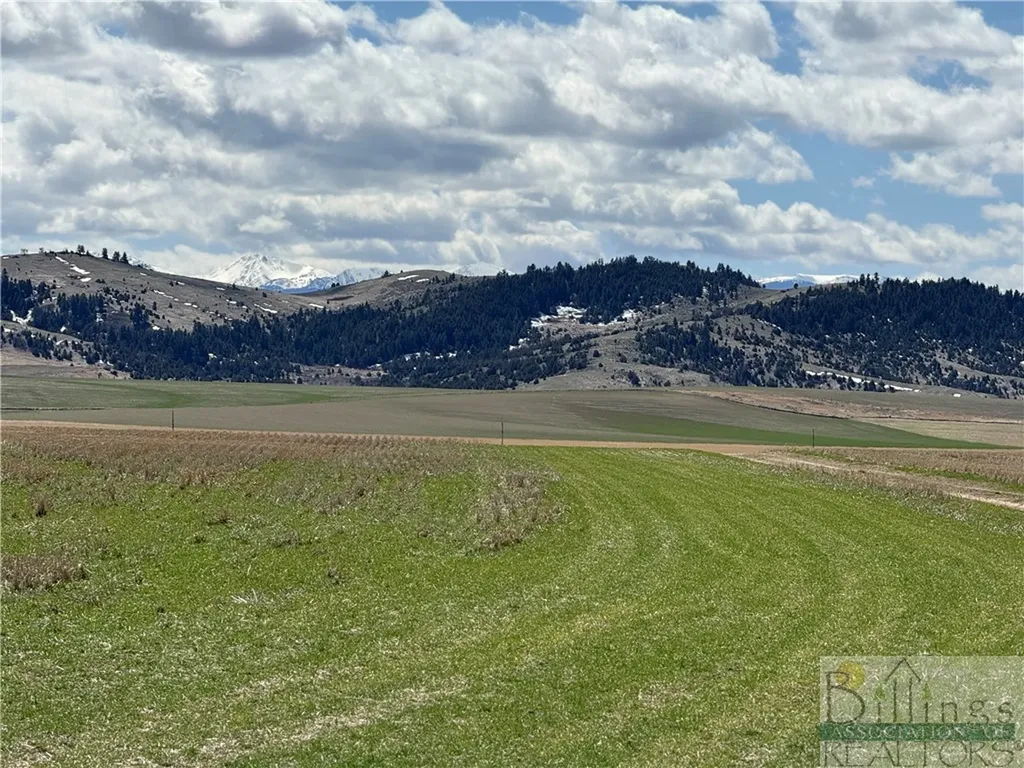 Tract 3a Norris Road Other MT 59741