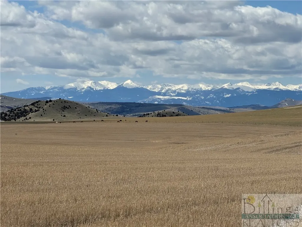 Tract 3a Norris Road Other MT 59741