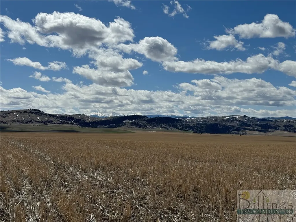 Tract 3a Norris Road Other MT 59741