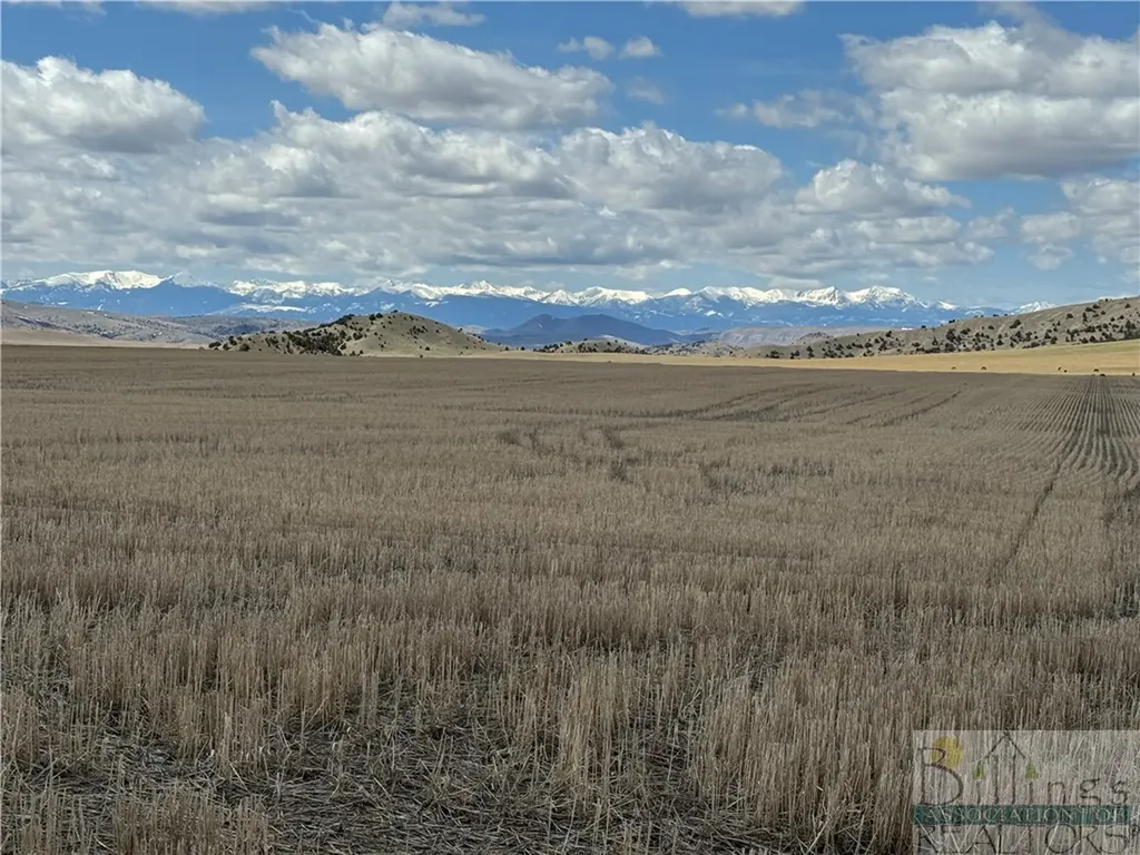 Tract 3a Norris Road Other MT 59741
