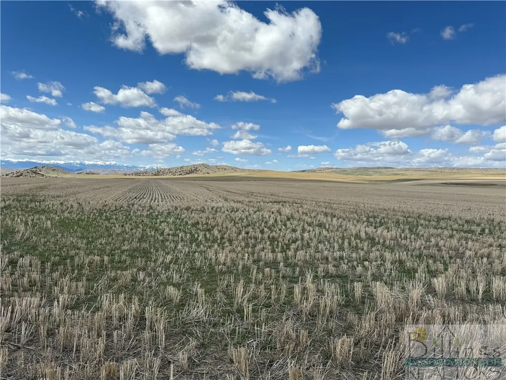 Tract 3a Norris Road Other MT 59741