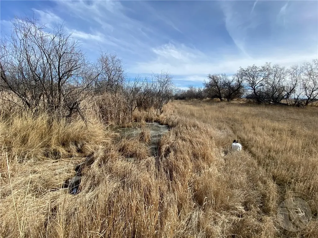 6419 Lot 6a Olive Branch Way Billings MT 59106