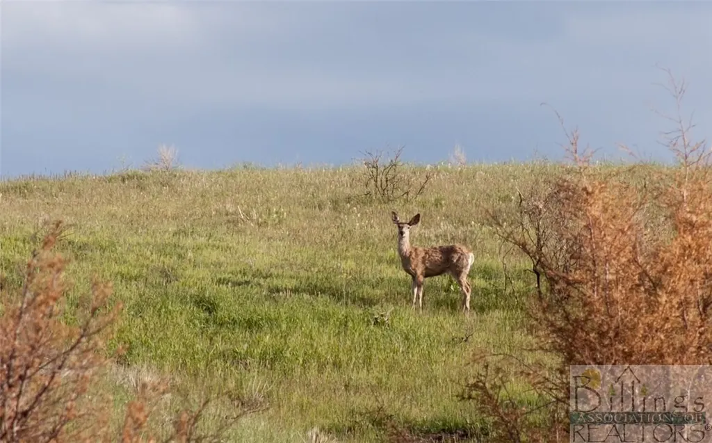 Lot 3 Pryor Creek Road Huntley MT 59037