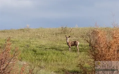 Lot 3 Pryor Creek Road Huntley MT 59037