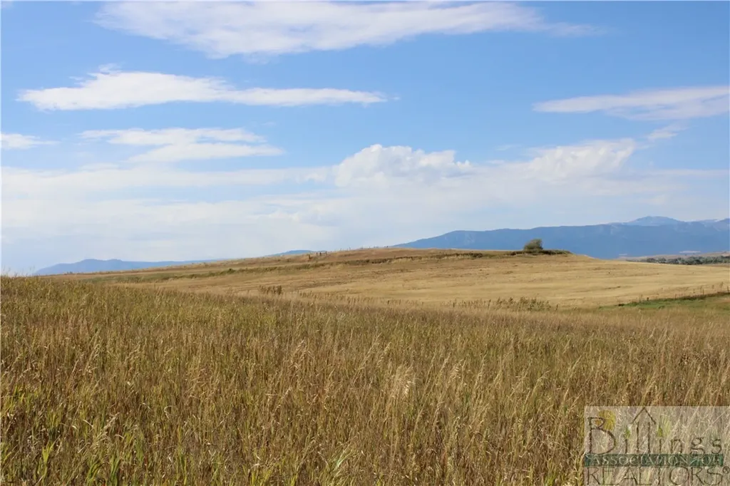 Lot 135 Internet Access Roberts MT 59070