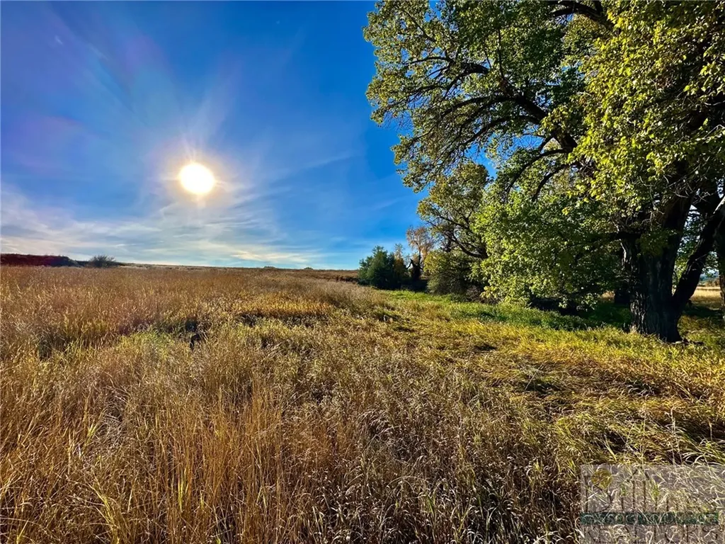 Tbd Centennial Road Columbus MT 59019