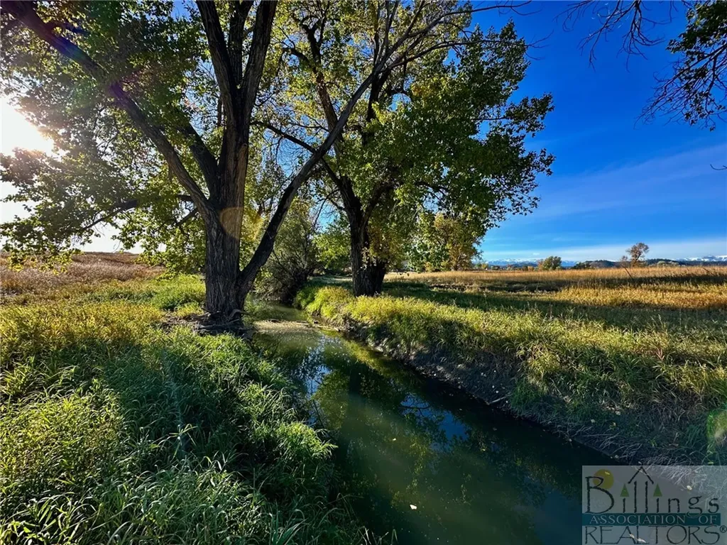 Tbd Centennial Road Columbus MT 59019