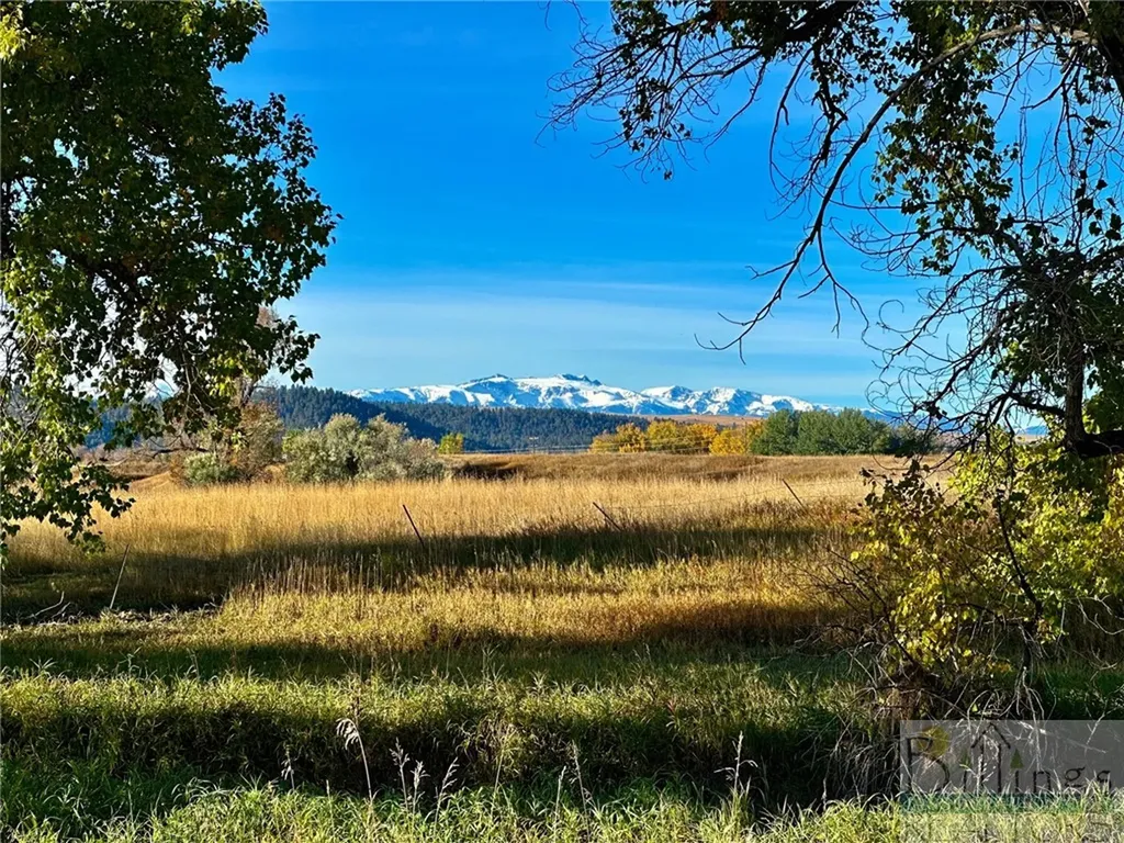 Tbd Centennial Road Columbus MT 59019