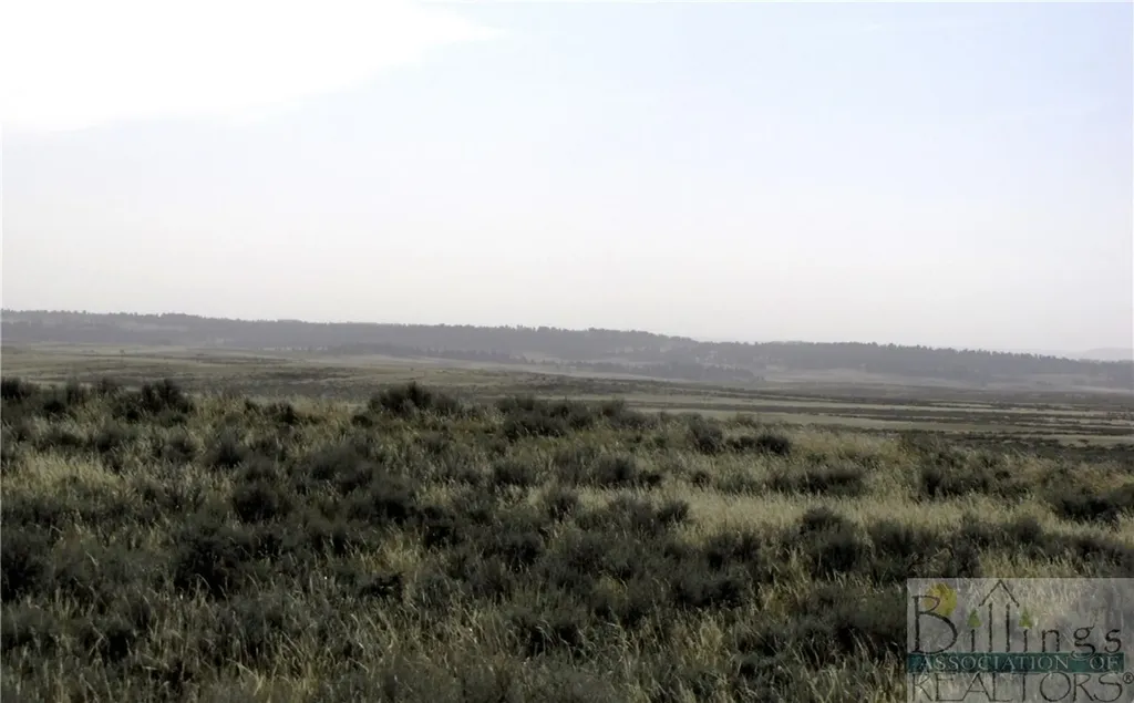 Nhn Lindstrom Road Shepherd MT 59079