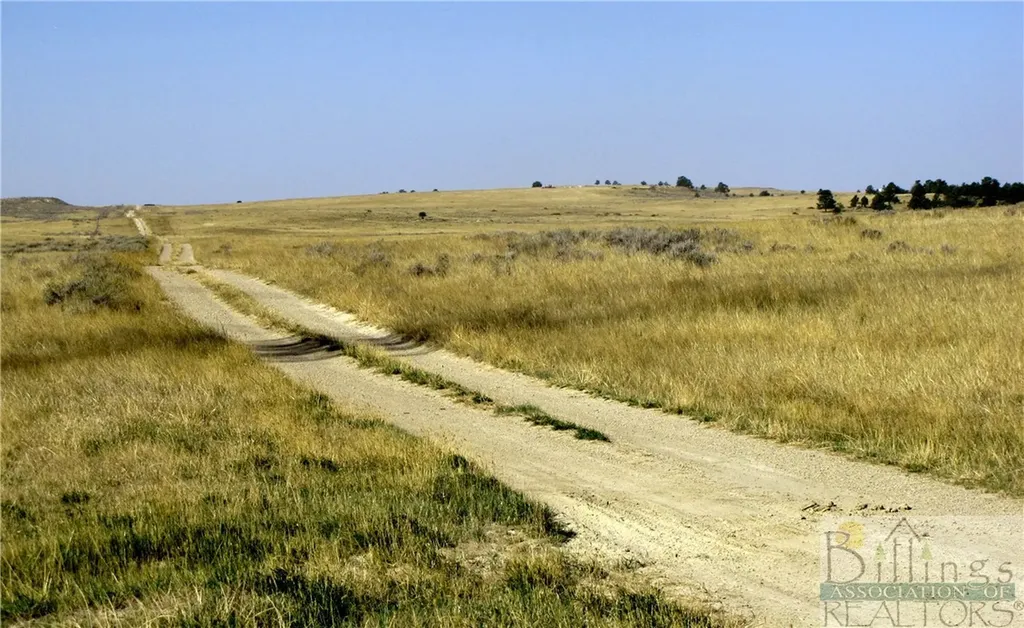 Nhn Lindstrom Road Shepherd MT 59079
