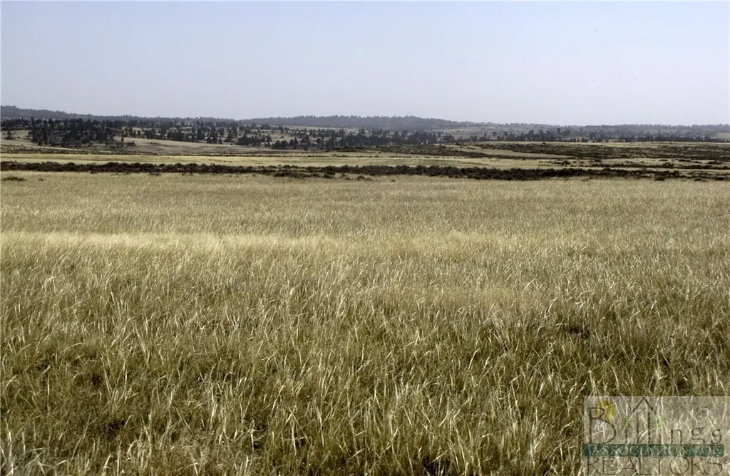 Nhn Lindstrom Road Shepherd MT 59079