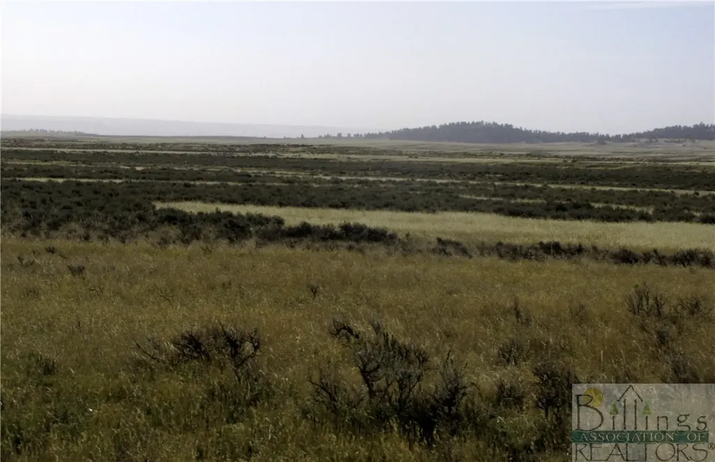 Nhn Lindstrom Road Shepherd MT 59079