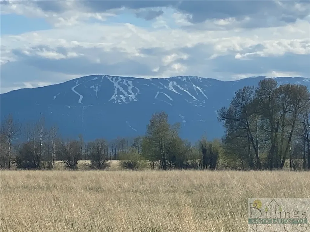 Lot 48 Buttercup Drive Roberts MT 59070