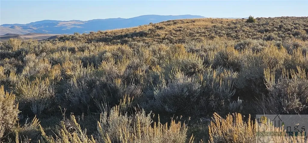 Tbd Shy Road Other MT 59086