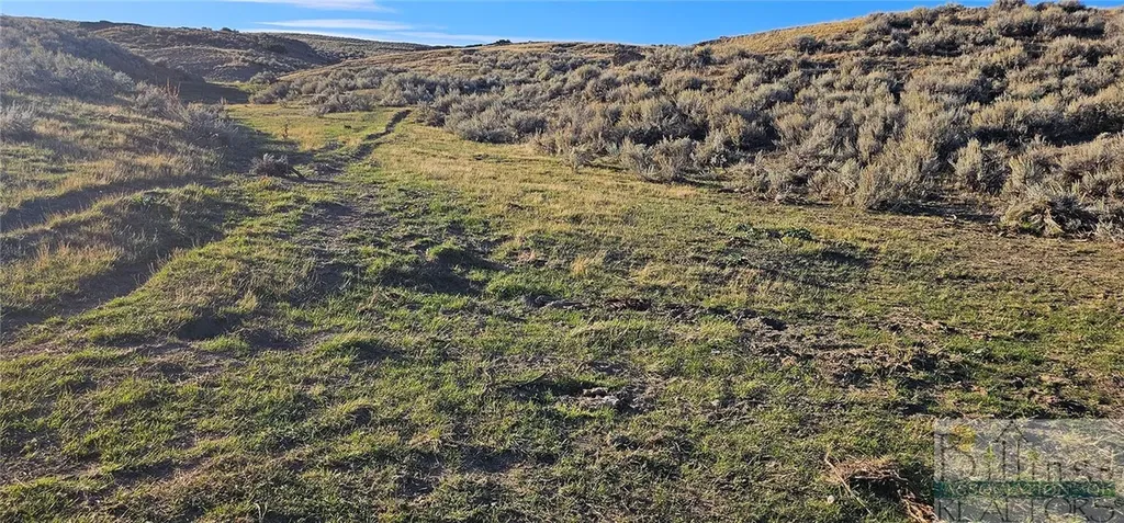 Tbd Shy Road Other MT 59086